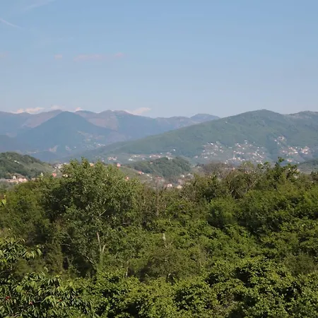 Primo Sole Leivi