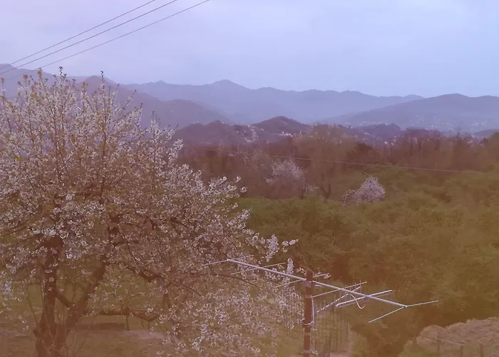 Мини-отель Primo Sole 2*